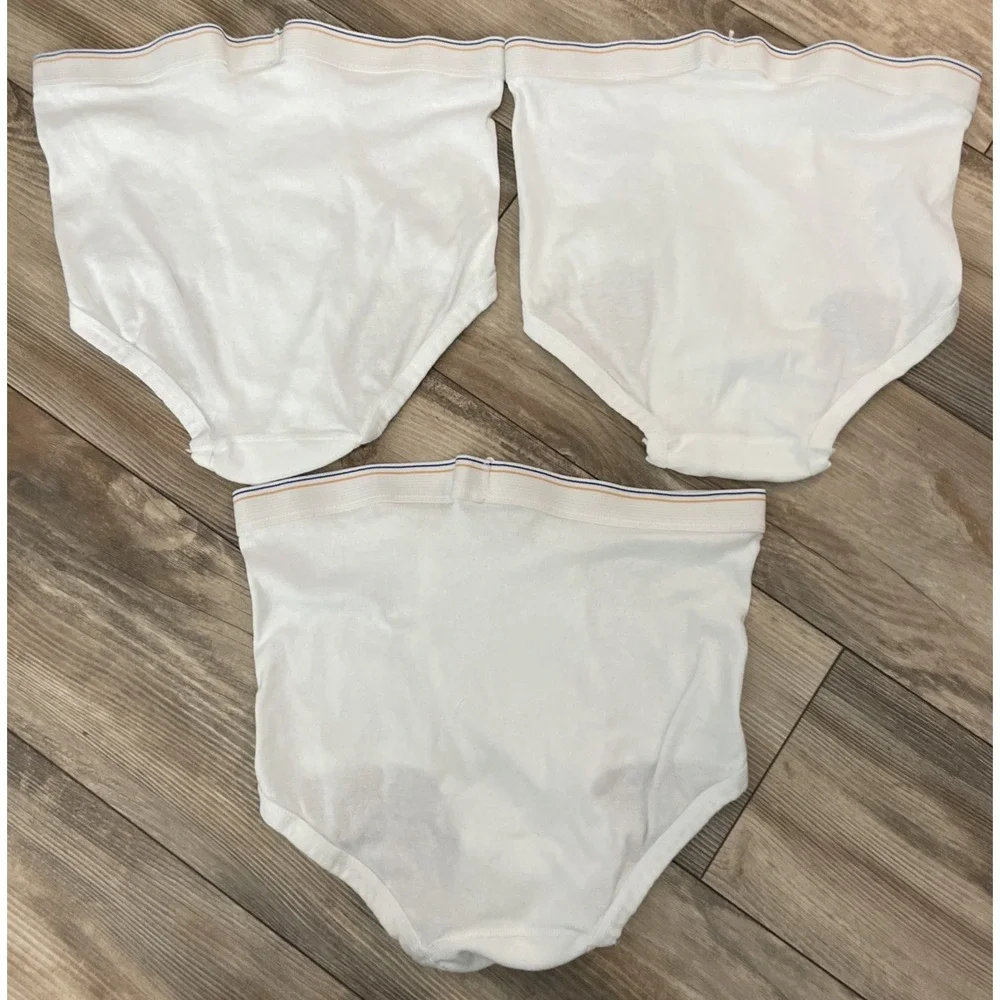 3 Vintage Fruit of the‎ Loom Underwear Briefs Large 38-40 Blue Yellow Stripe USA